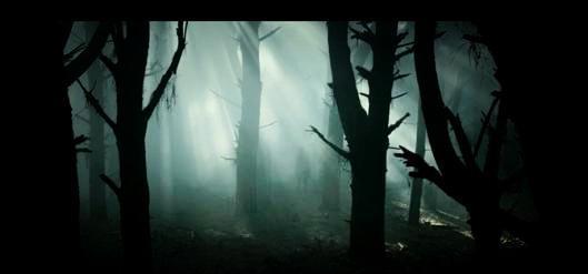 中国国产恐怖视频,国产恐怖片中的惊悚之旅